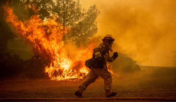 Fire and fury: How government failures make wildfires even worse