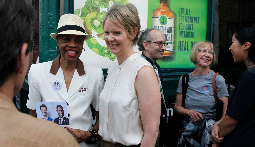 Cynthia Nixon, thermostat warrior