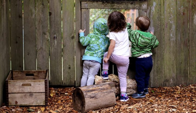 Children peer out a screened window in the fence at the Wallingford Child Care Center in Seattle.