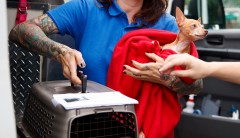 North Carolina rescue volunteers accepting donations for pets displaced by Florence