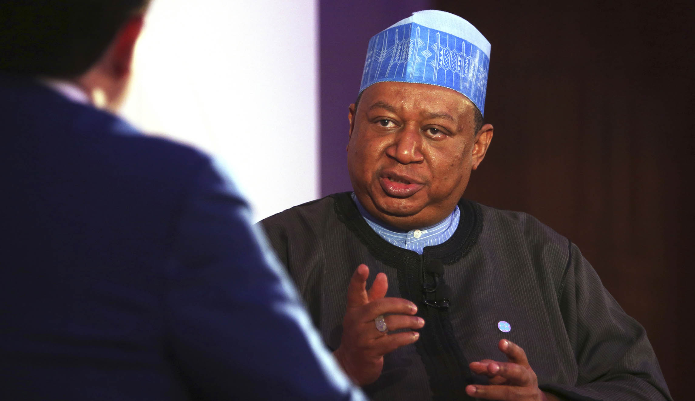 OPEC secretary general warns Congress that suing oil cartel would ‘usurp’ US oil and gas interests