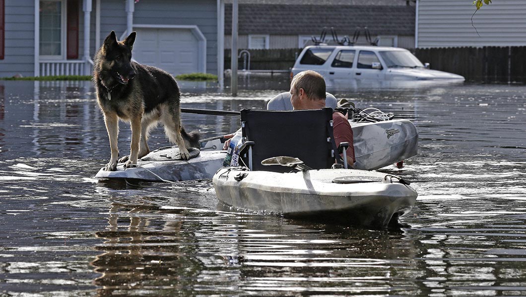 Hurricane Florence