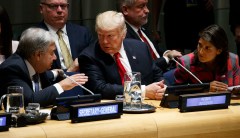 The UN can boost global health by simply protecting IP rights