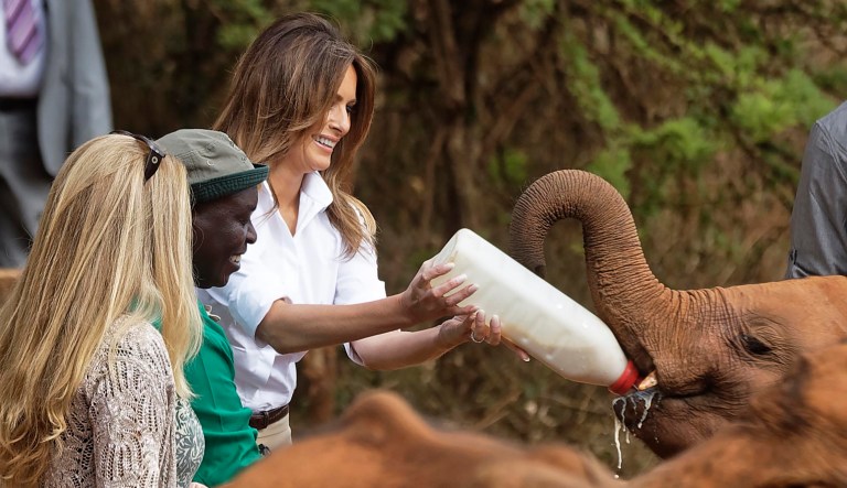 First lady Melania Trump feeds a baby elephant milk with a bottle at the David Sheldrick Wildlife Trust elephant orphanage in Nairobi, Kenya Friday, Oct. 5, 2018.