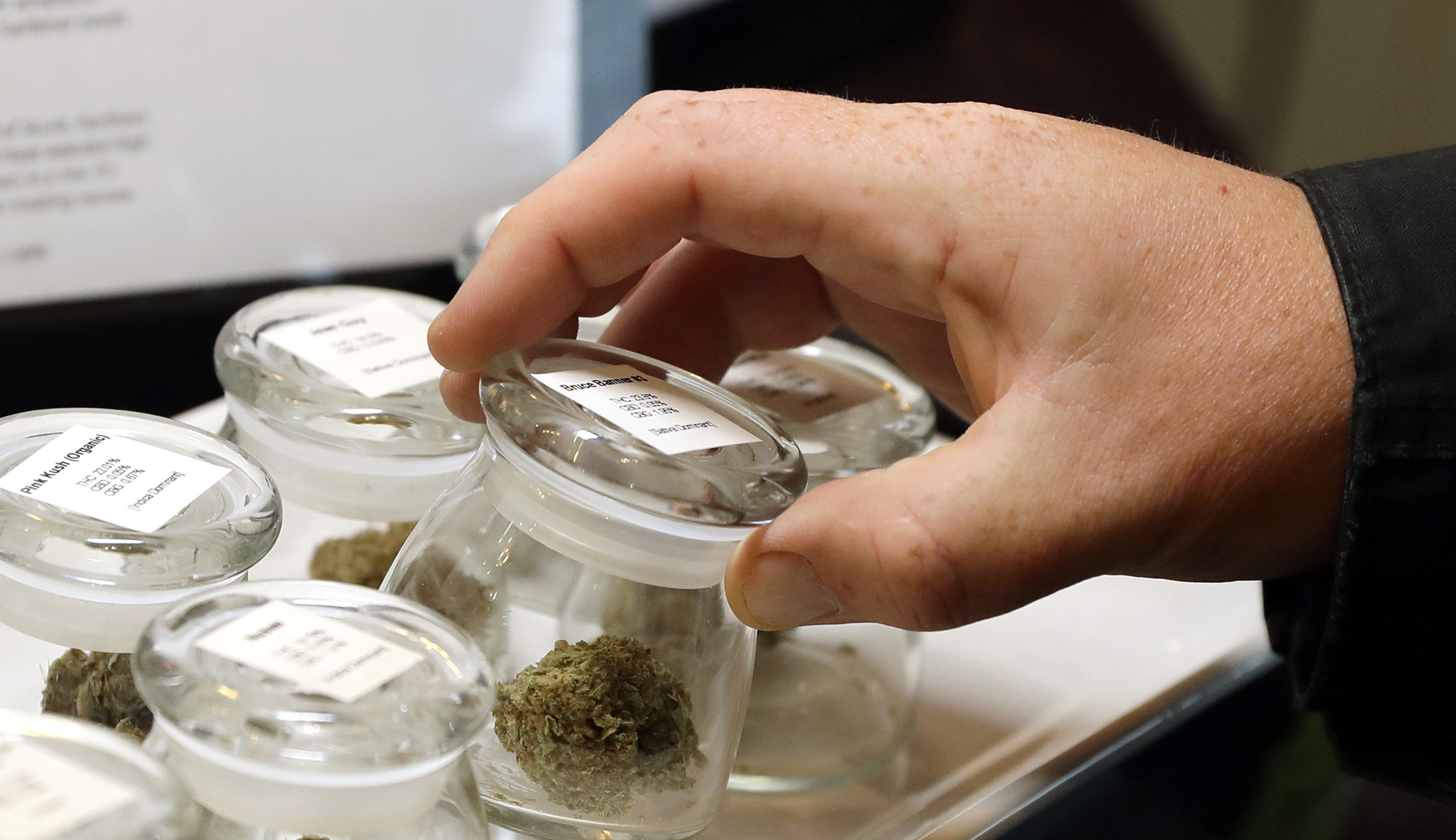 Canadians linked to newly legal pot industry could be barred from US