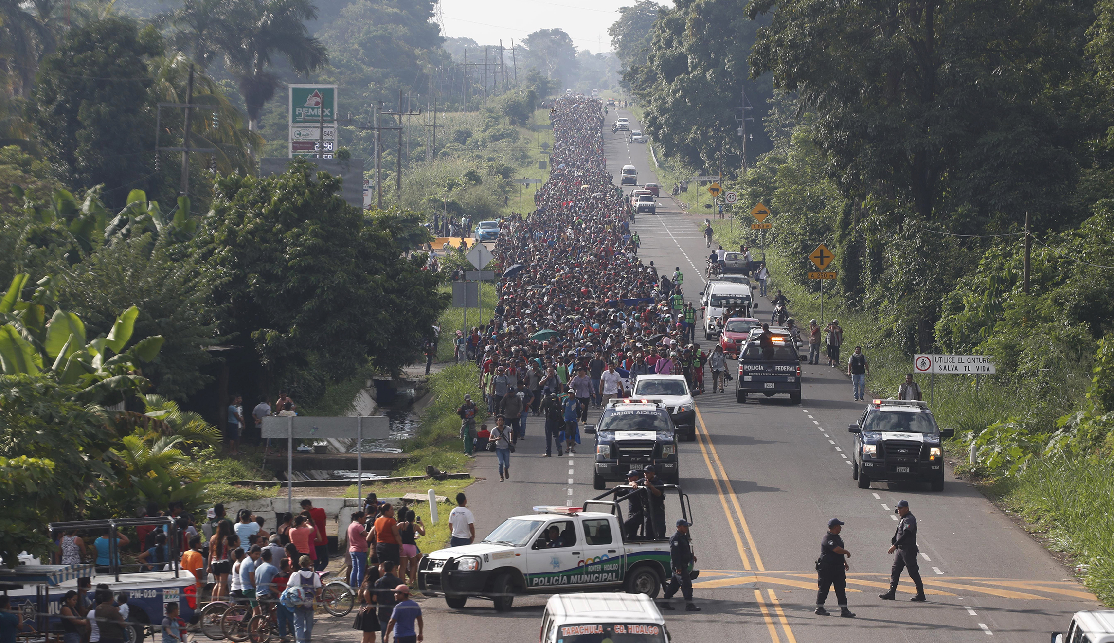 Louie Gohmert: Use anti-racketeering law to track down people funding Central American caravan