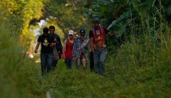 The caravan’s advocates are destroying immigration and humanitarian law