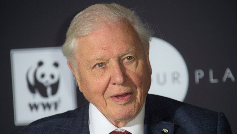 Sir David Attenborough poses for photographers.
