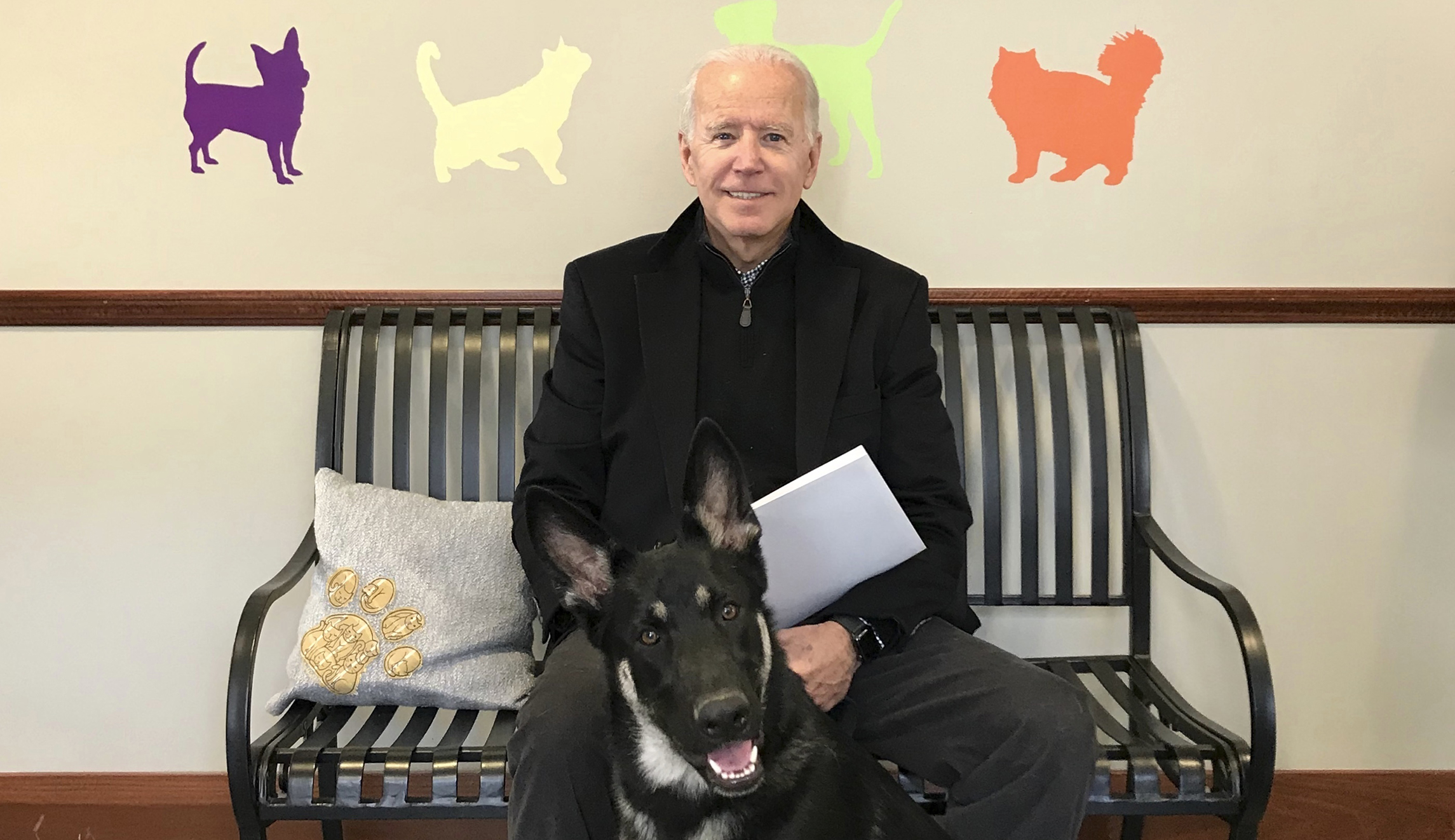Joe Biden selects walking mate: Rescue pup Major joins the family