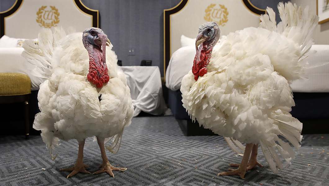 On Thanksgiving, Trump should pardon more than turkeys