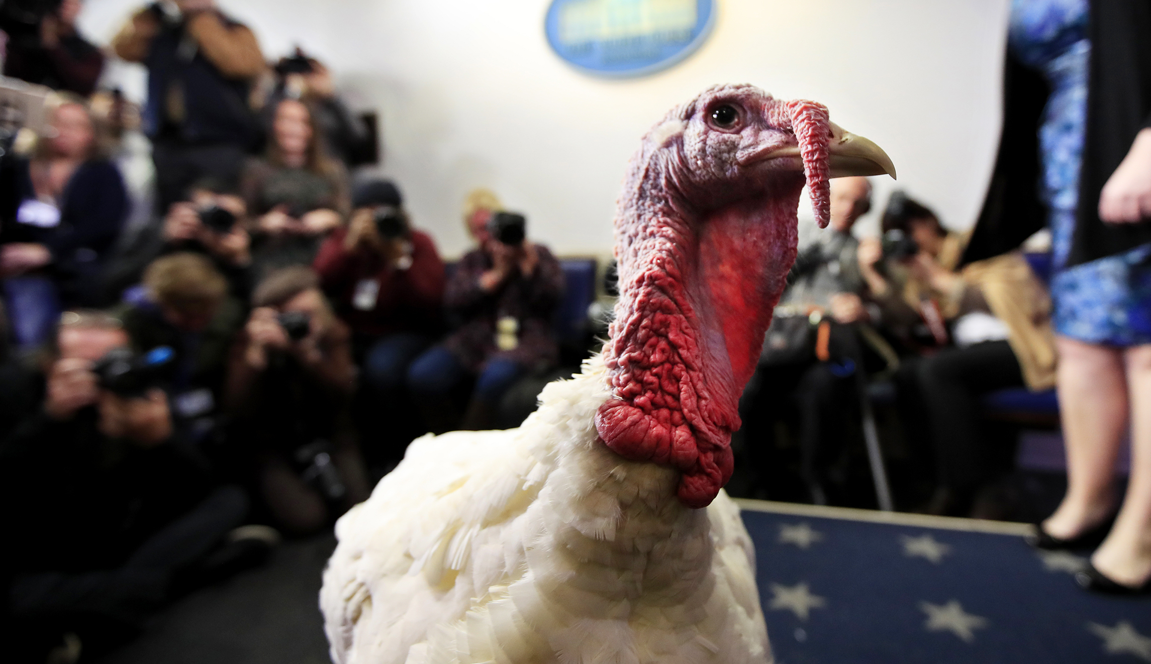The White House turkey pardon should be thrown on the trash heap of history