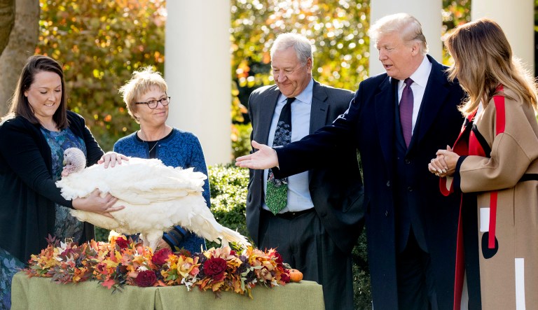 President Trump, accompanied by first lady Melania Trump, right, pardons "Peas" one the National Thanksgiving Turkeys, during a ceremony in the Rose Garden of the White House in D.C. on Tuesday.