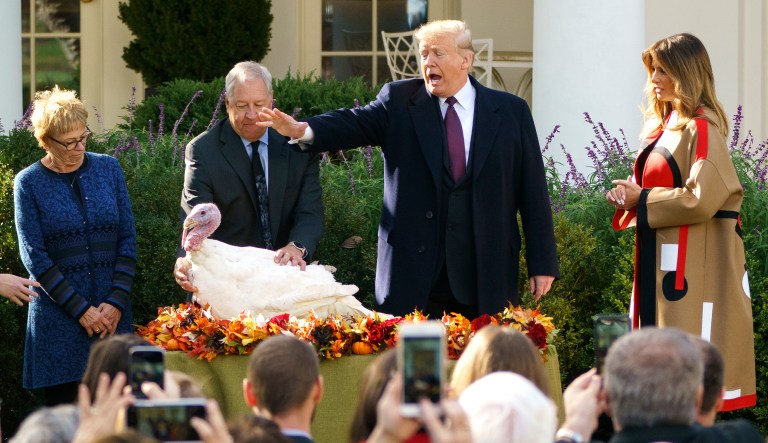 Trump pardons turkeys, says he hasn’t considered human clemency for Thanksgiving