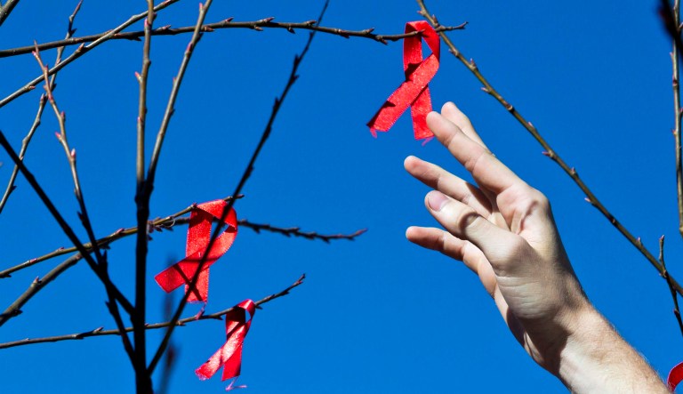 A volunteer hangs red ribbons, the universal symbol of awareness and support for those living with HIV, to mark World AIDS Day.