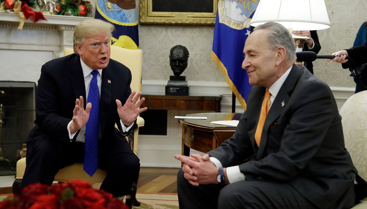 Trump: 'I am proud to shut down the government for border security'