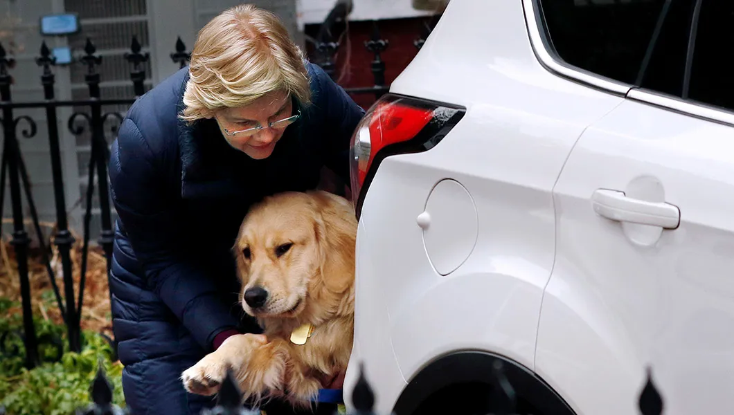 2020 Dems use animal charms in bid to win voters