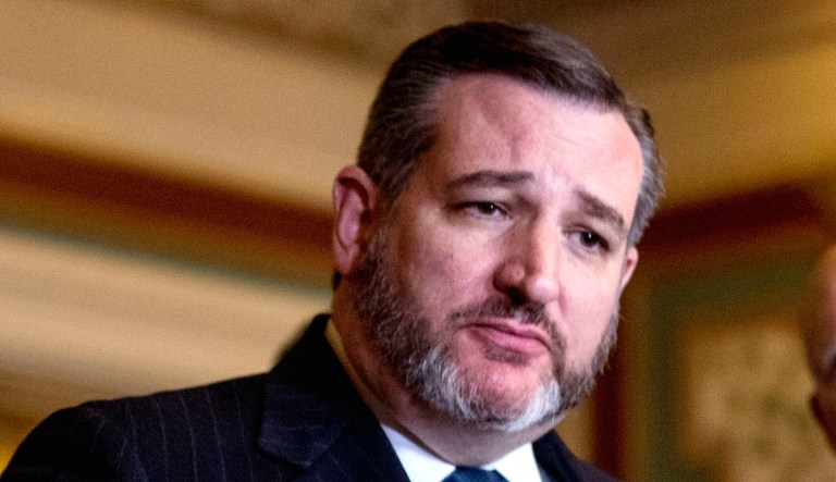 Sen. Ted Cruz, R-Texas, speaks.