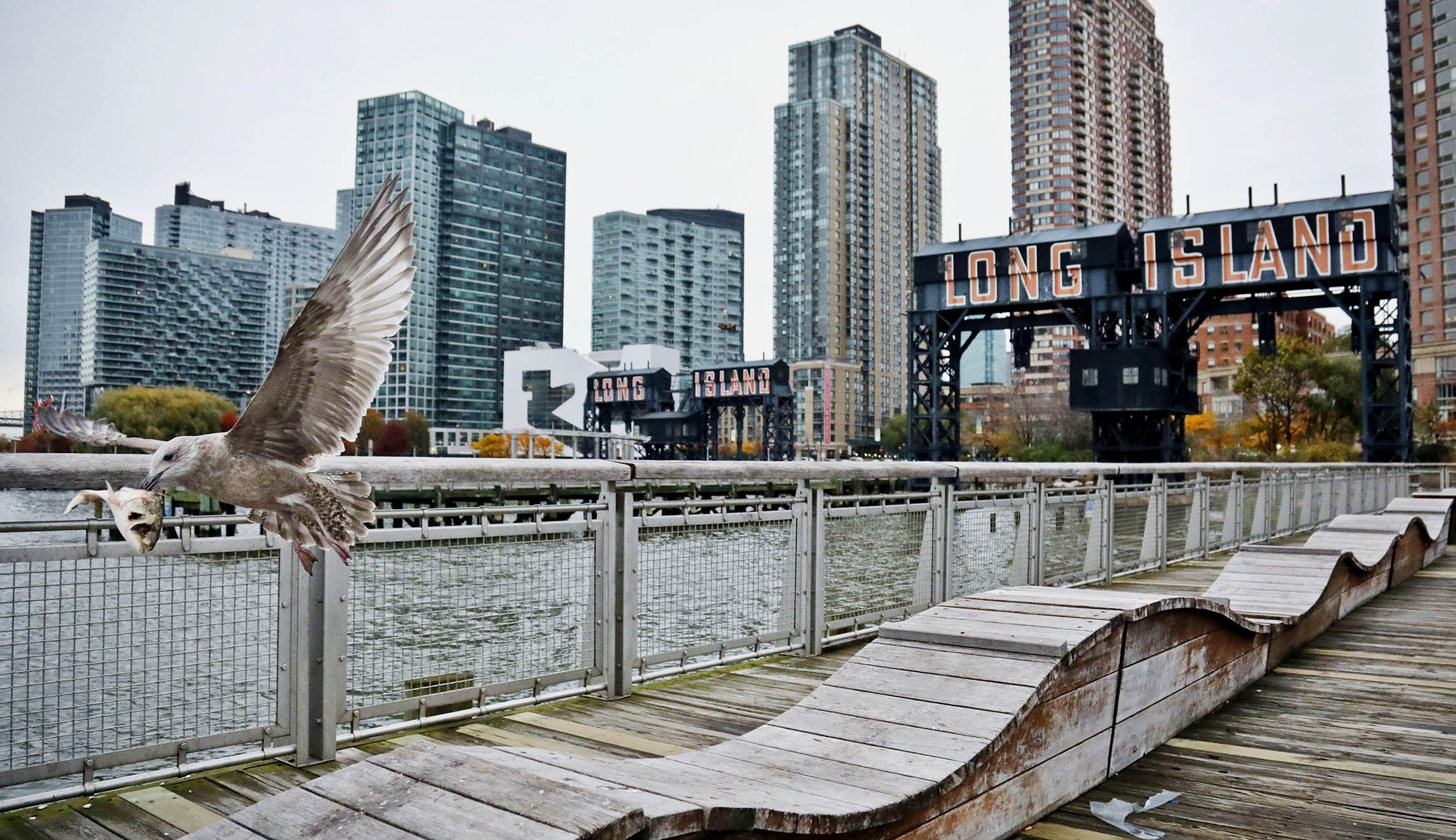 Sticking by DC, Amazon won’t replace scrapped NYC campus