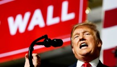 Weekly Trump report card: Emergency wall move divides the country