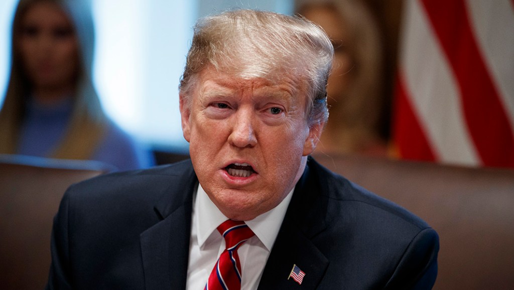‘Yes’ on borders, ‘yes’ on walls where appropriate, ‘no’ on emergency powers