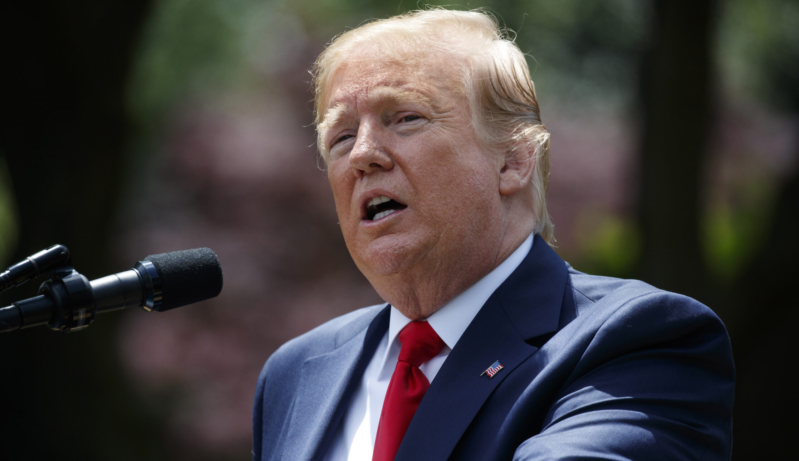 Democrats float theory about Trump not accepting 2020 election defeat, as they refuse to accept election defeats