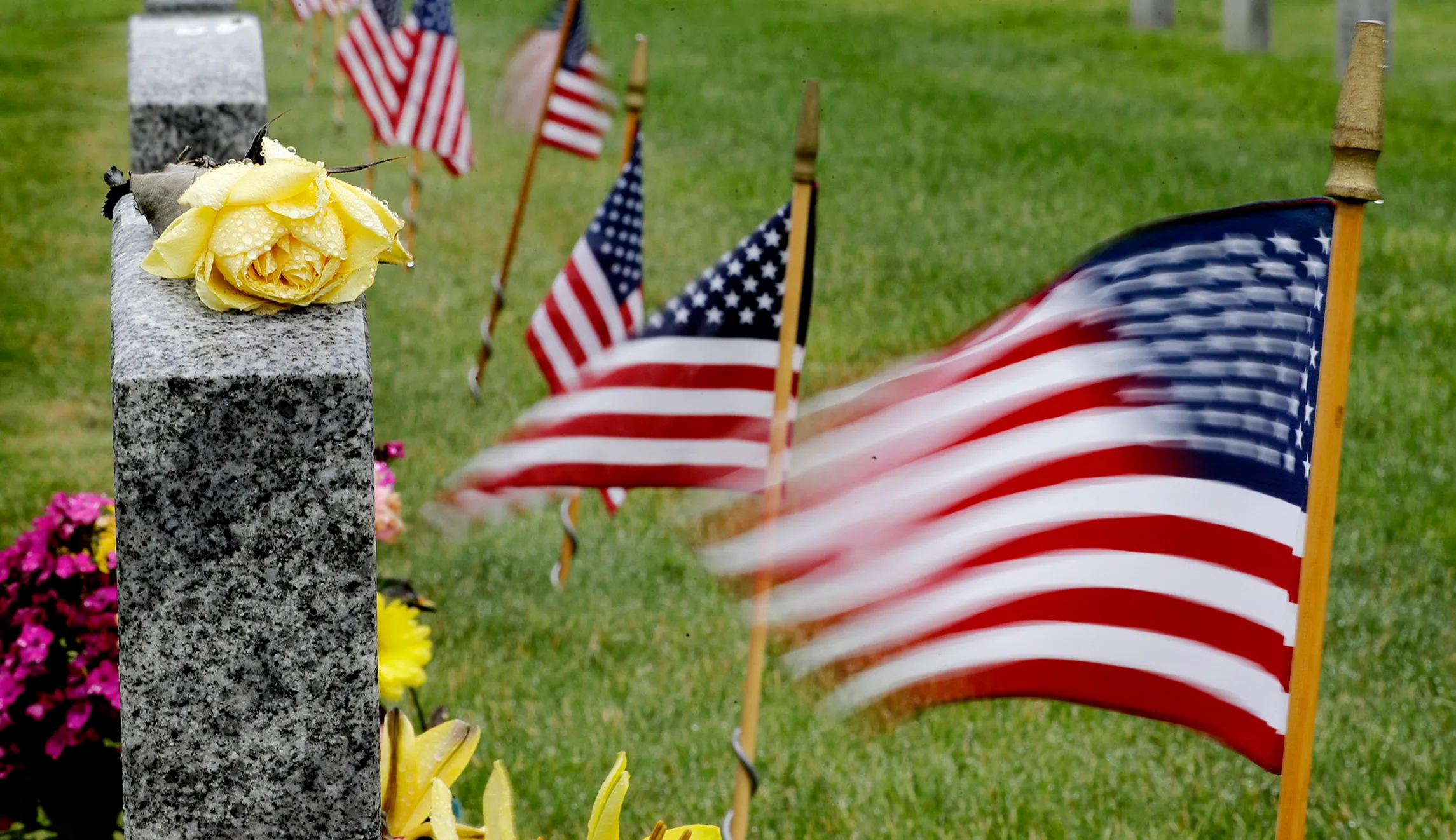 Honor the sacrifice of Gold Star families
