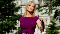 Kellyanne Conway: Trump first president to take office ‘approving of gay marriage’