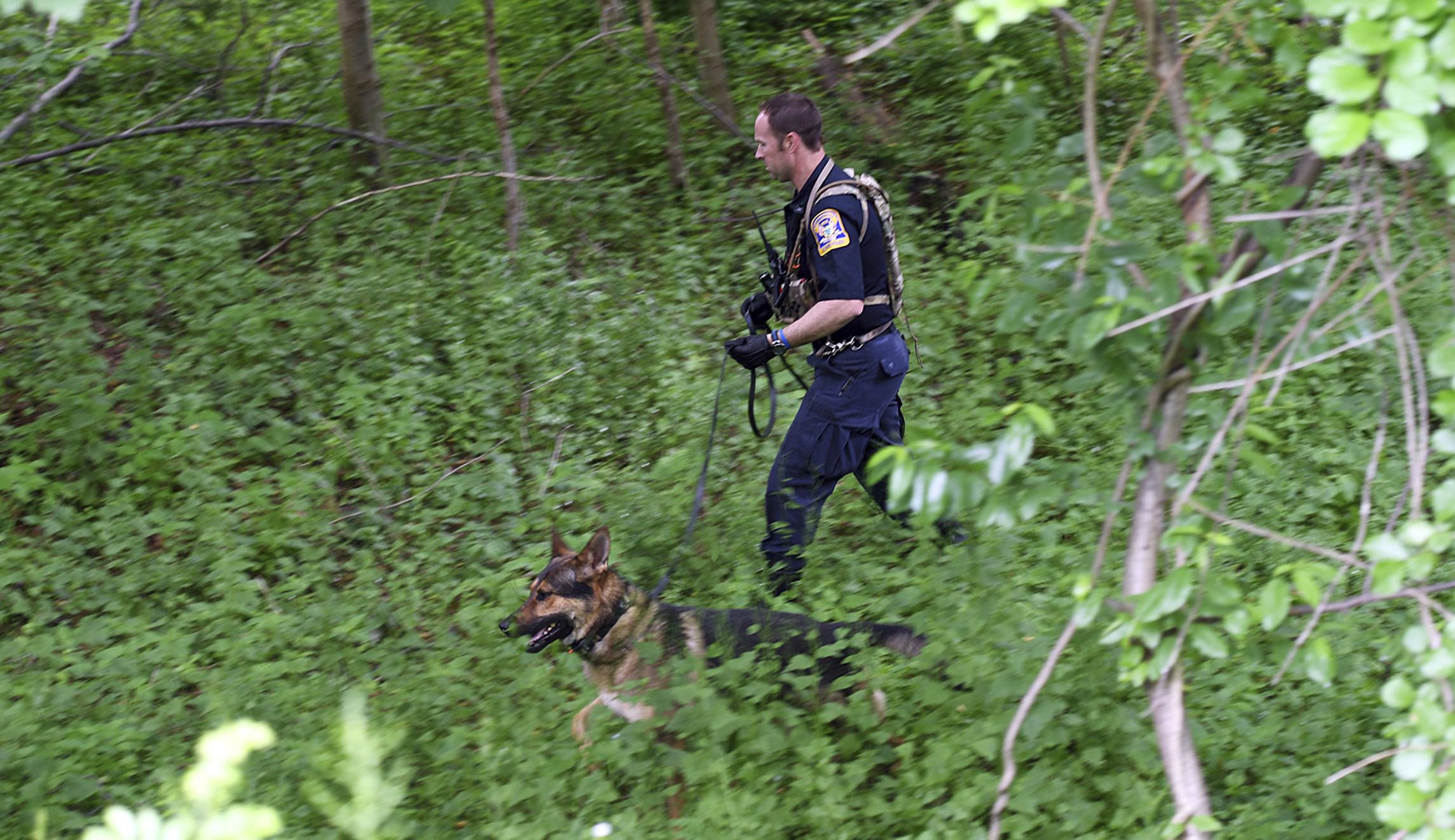 Search intensifies as police find blood in home of missing Connecticut mother of five