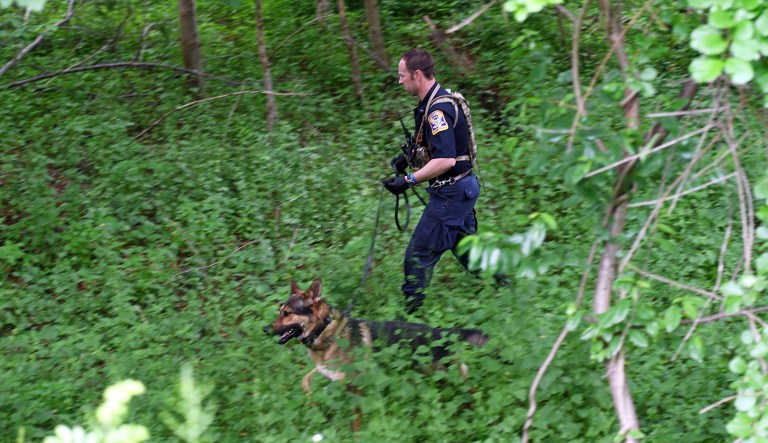 Police K-9 units search the woods for missing person Jennifer Dulos at Waveny Park in New Canaan, Conn. Wednesday, May 29, 2019. Dulos was reported missing Friday evening and police searched the area surrounding her neighborhood on Tuesday and the woods of Waveny Park on Wednesday. 