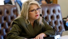 Woman arrested over murder of former state senator shot dead outside her home