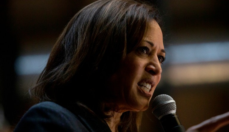 Democratic presidential candidate Kamala Harris speaks to supporters during a campaign stop at Convivium Urban Farmstead in Dubuque, Iowa on Monday, June 10, 2019. 