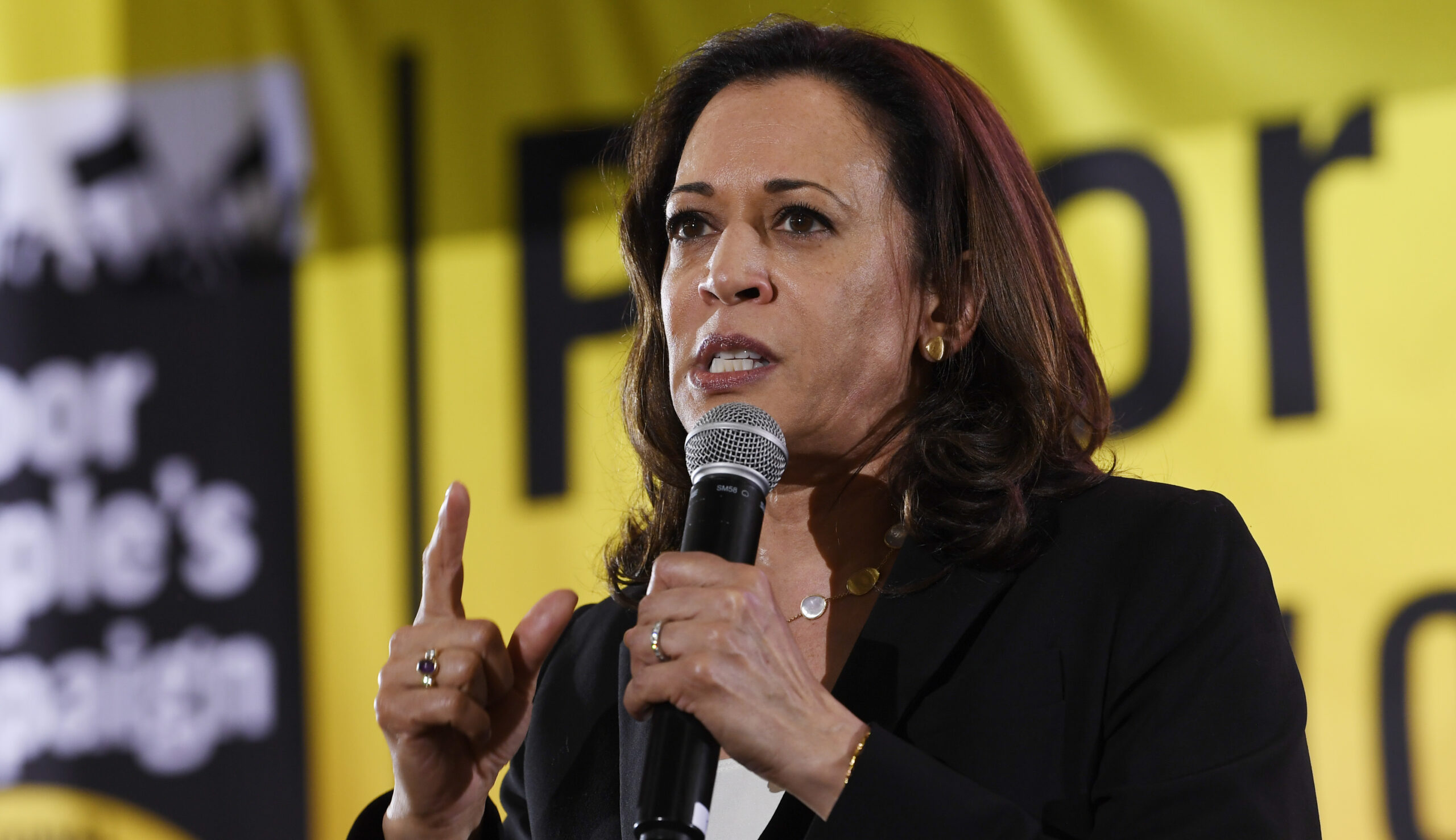 Kamala Harris: Trump immigration crackdown ‘an attempt to remake the demographics of our country’