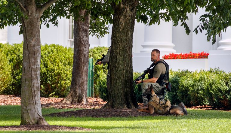 U.S. Secret Service Police and K-9 position themselves with guns on the North Lawn of the White House, Wednesday June 19, 2019, in Washington. 