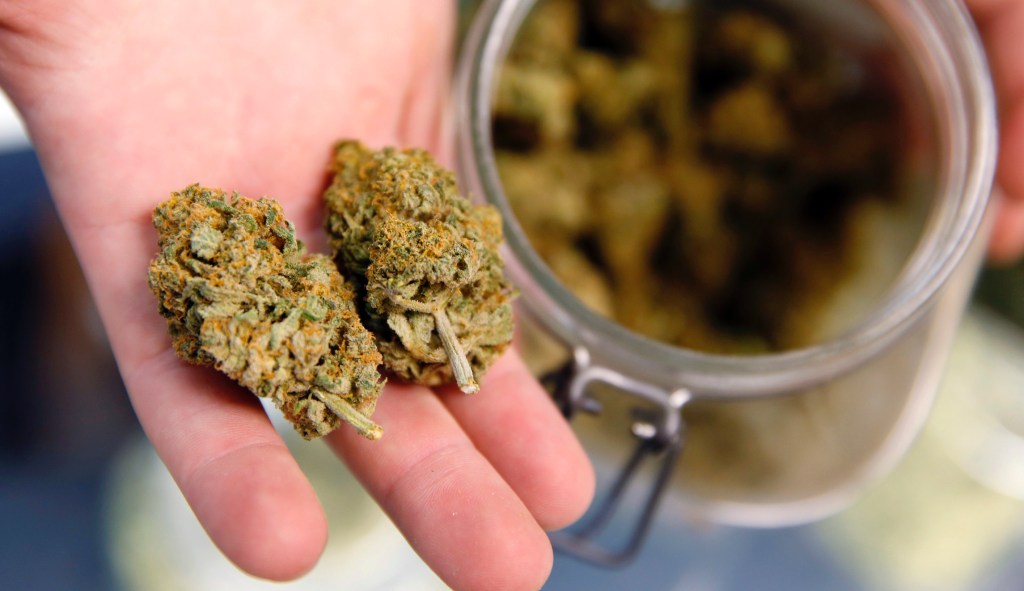 Democratic governor pardons more than 11,000 drug offenders