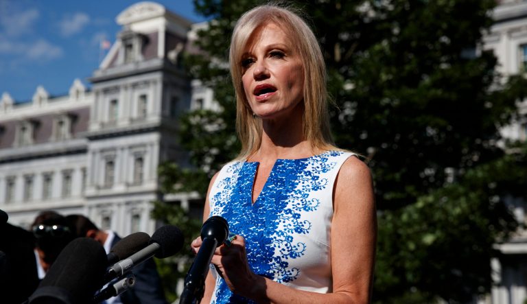 White House counselor Kellyanne Conway talks to reporters outside the White House, Monday, June 24, 2019, in Washington. 