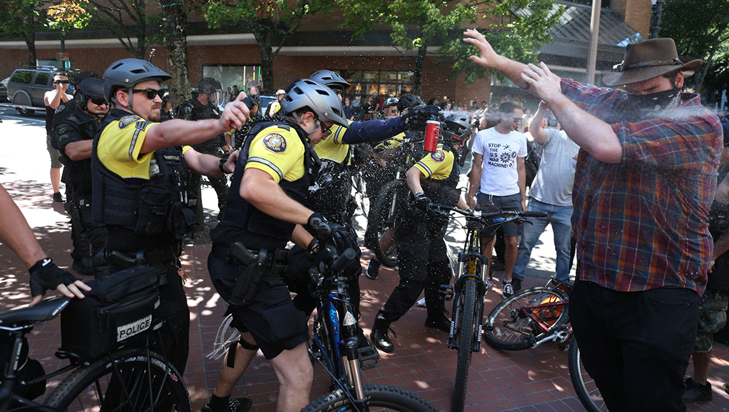 Not Portland: DC police ‘absolutely’ ready to handle antifa protests