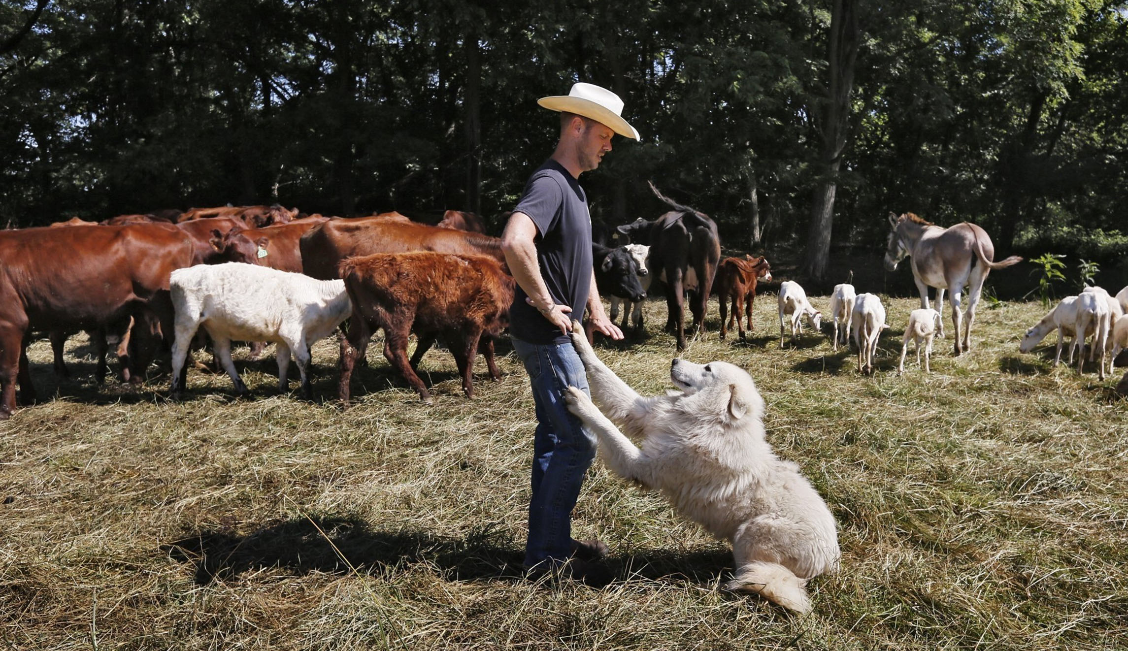 Don’t leave rural workers out of the employment renaissance