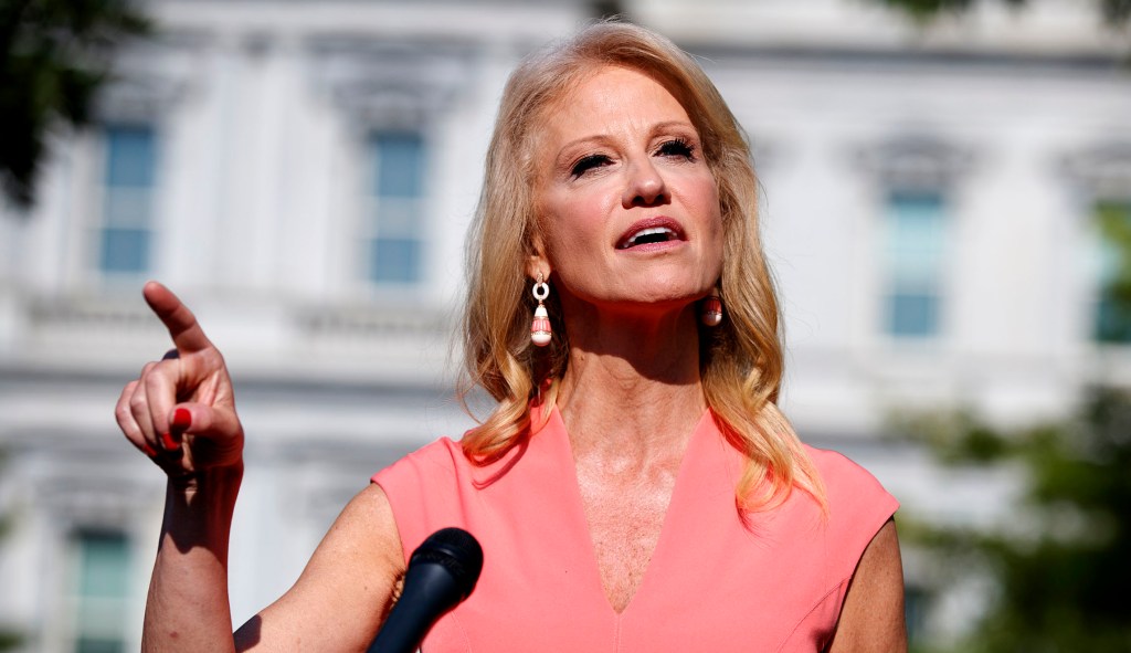 Stumble: Kellyanne Conway says non-white ‘Squad’ part of a ‘very dark element’