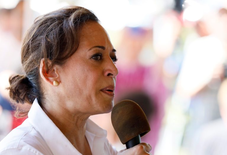 Democratic presidential candidate Sen. Kamala Harris speaks during the West Des Moines Democrats' annual picnic, Wednesday, July 3, 2019, in West Des Moines, Iowa.