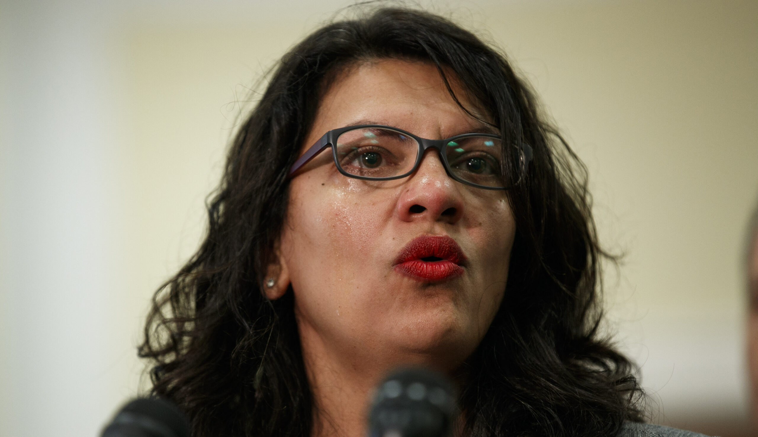 WATCH: Screaming Rashida Tlaib physically removed from 2016 Trump event