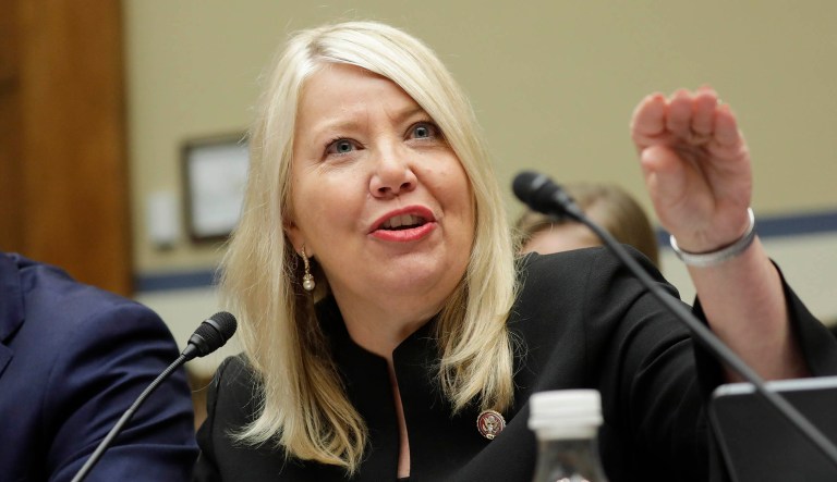 Rep. Debbie Lesko (R-AZ) testifies before a committee.