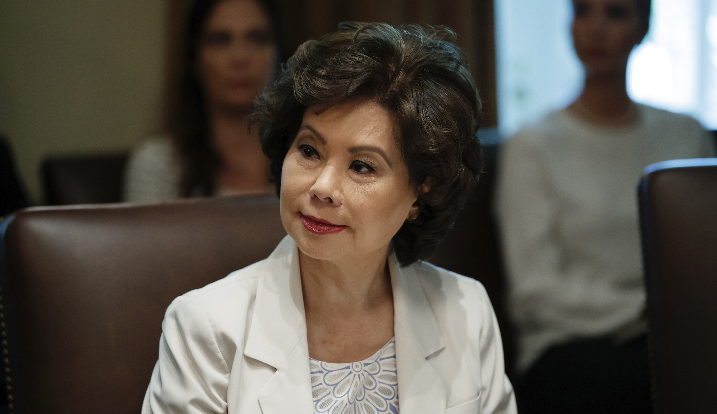 Democrat calls for investigation into Elaine Chao after Mitch McConnell campaign boasts Kentucky ties