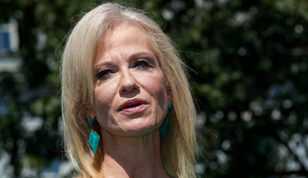 Kellyanne Conway addresses Trump’s Epstein tweets