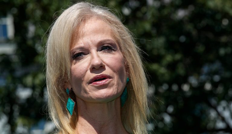 White House counselor to the President Kellyanne Conway, speaks to the media, Monday, July 22, 2019, outside the White House in Washington. 