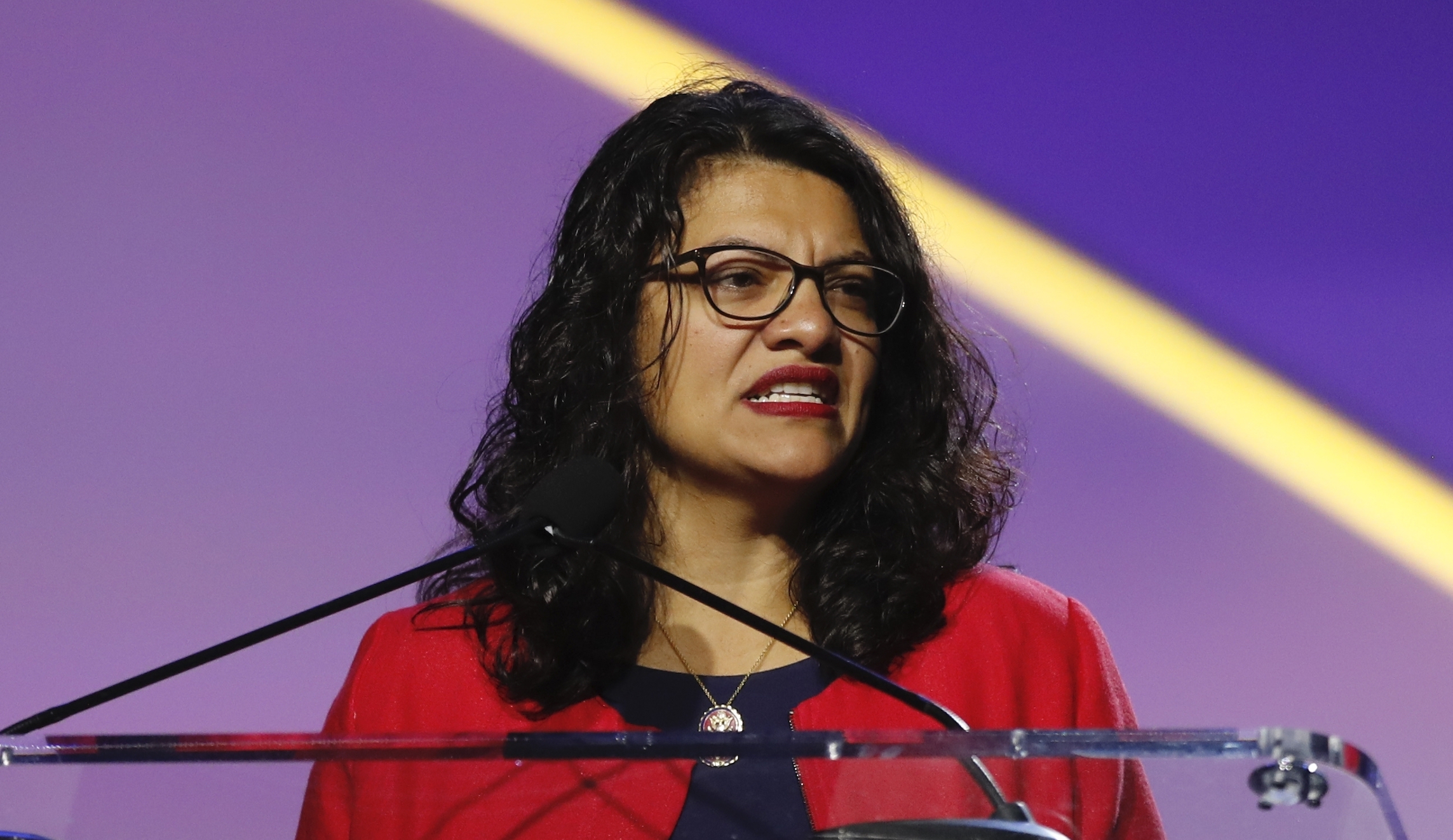 Rashida Tlaib: Bernie Sanders ‘makes me feel less insane’