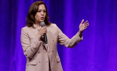 Kamala Harris backs federal gun licensing