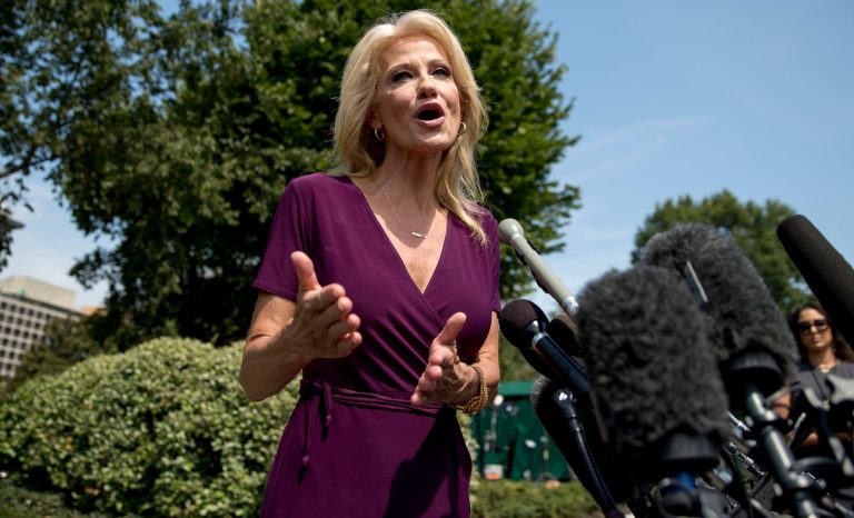 Counselor to the President Kellyanne Conway speaks to members of the media outside of the West Wing on the North Lawn of the White House in Washington, Wednesday, Aug. 7, 2019.
