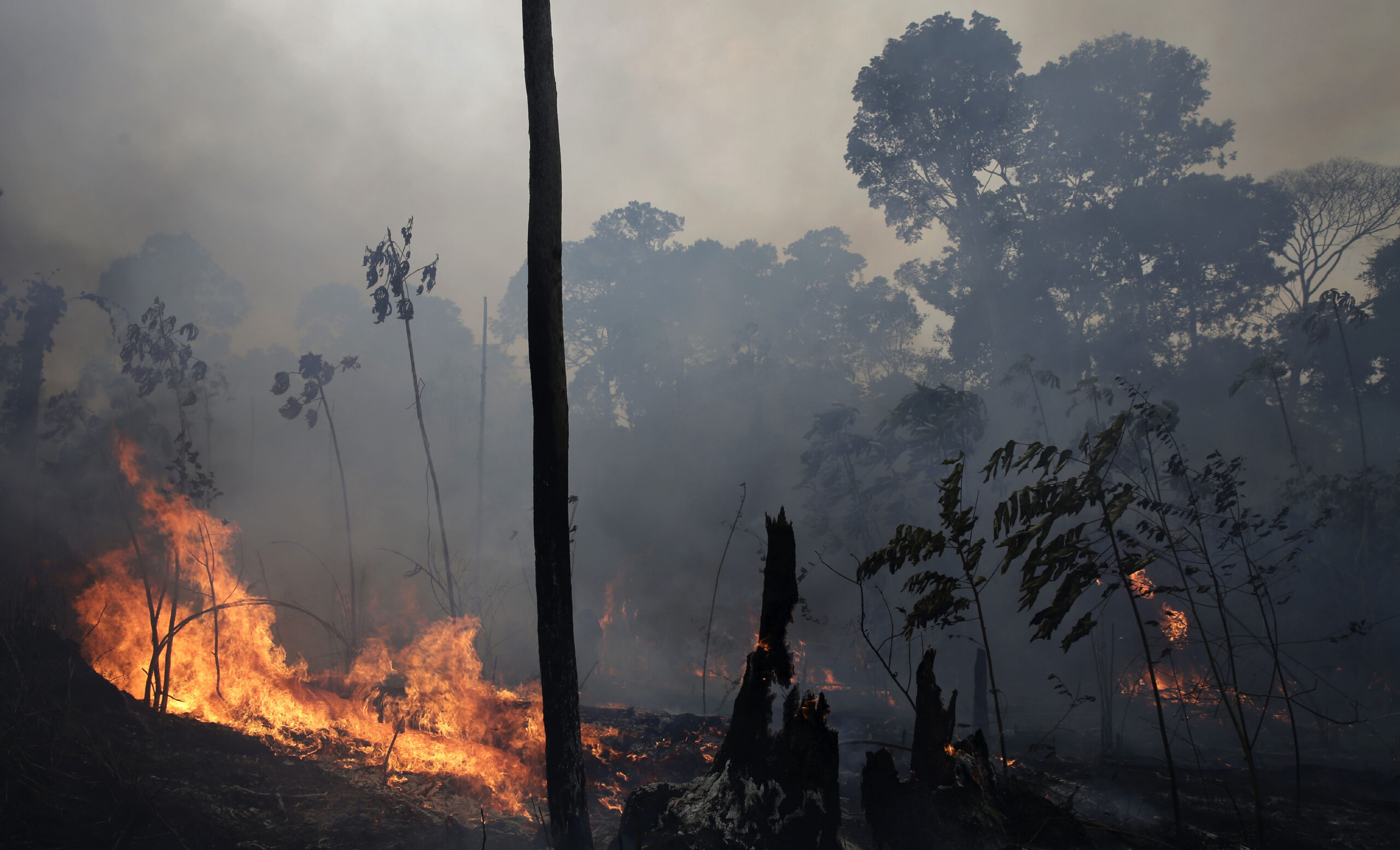 UPDATED: Brazil rejects millions pledged at G-7 to fight fires