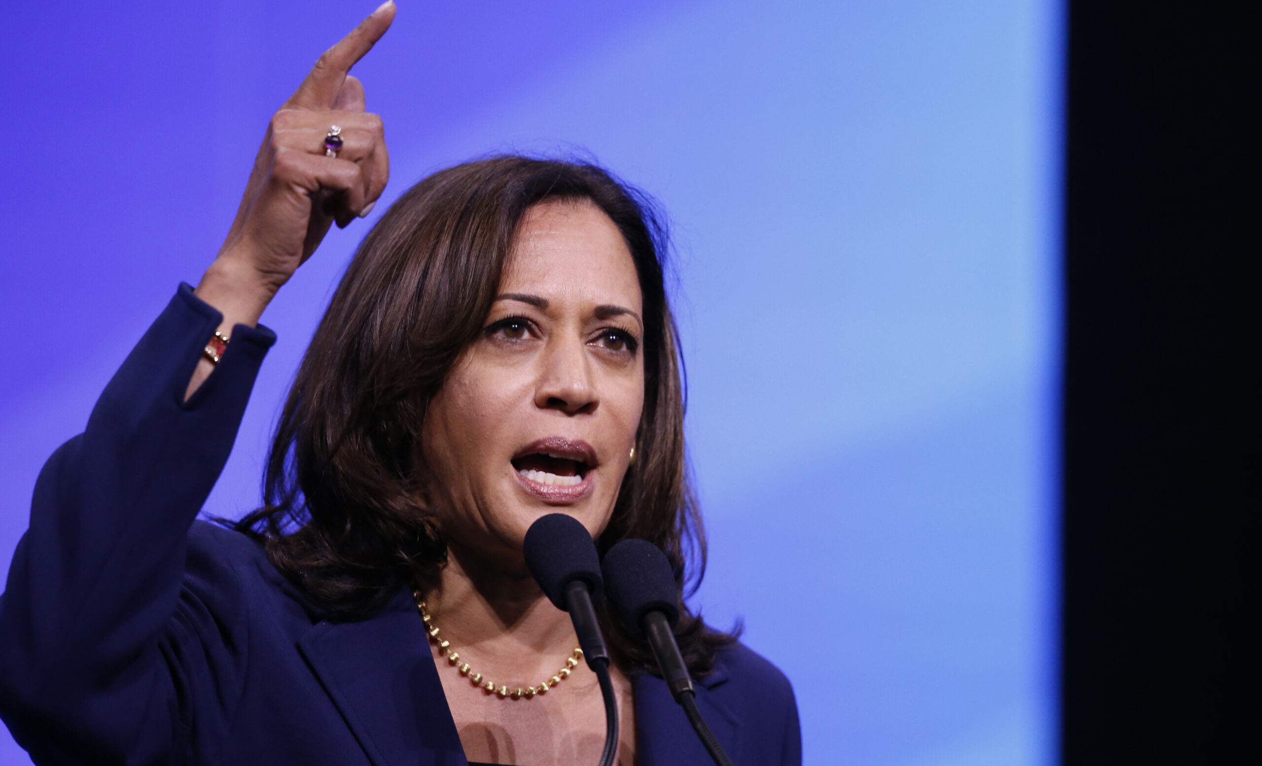 Kamala Harris criminal justice plan calls for government loans to marijuana growers