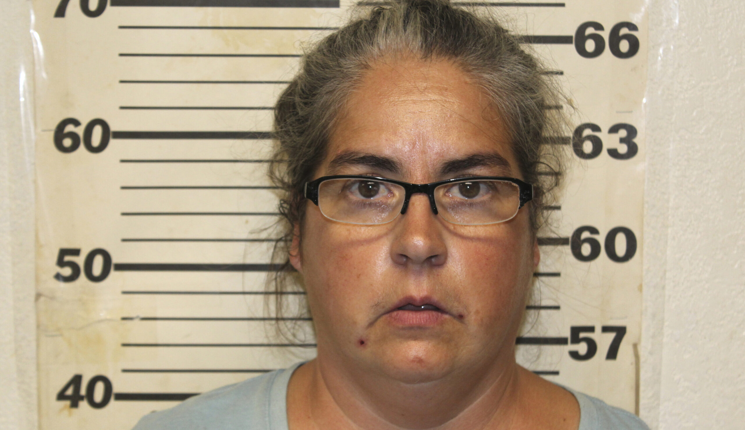 'Staggering to the imagination': Couple who run animal rescue arrested after 150 dead dogs found